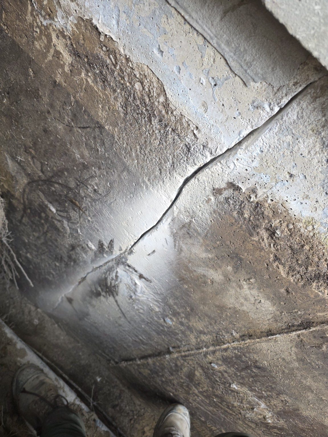 Foundation Crack